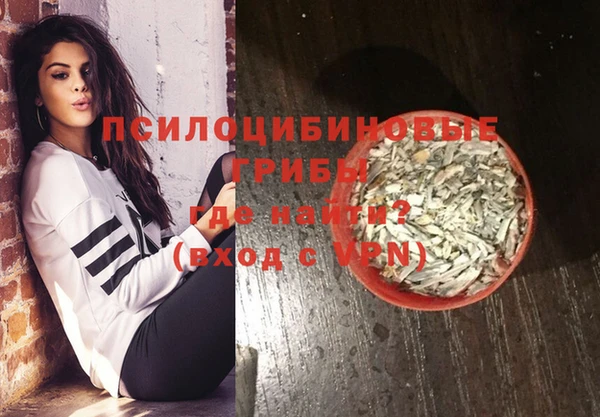 МДПВ Армянск