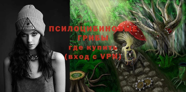 МДПВ Армянск