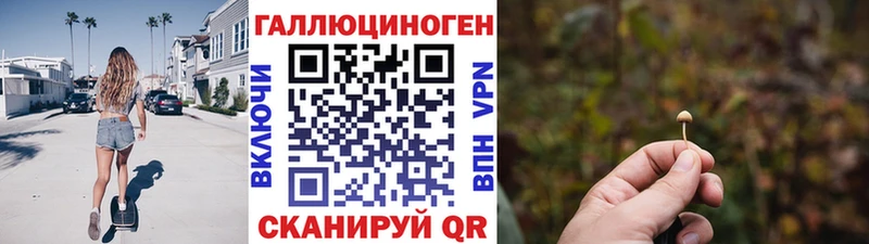 Купить закладки  Кудрово  Галлюциногенные грибы MAGIC MUSHROOMS 